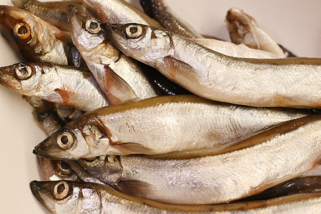 Sea Bass Grilled in Foil